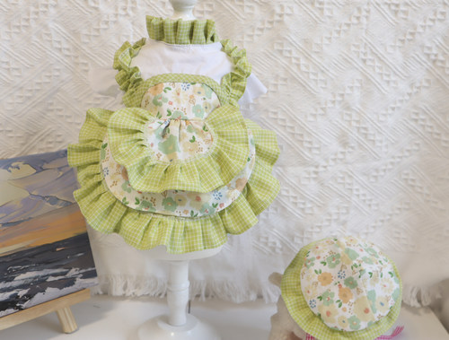 宠物夏季换装猫咪防掉毛