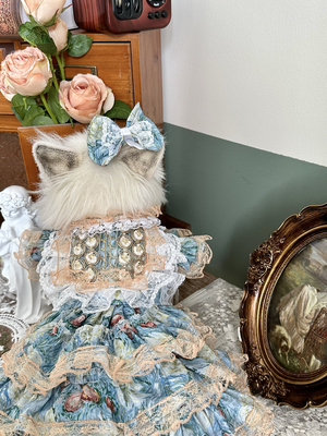 狗狗精美礼物公主裙猫咪缎面高定