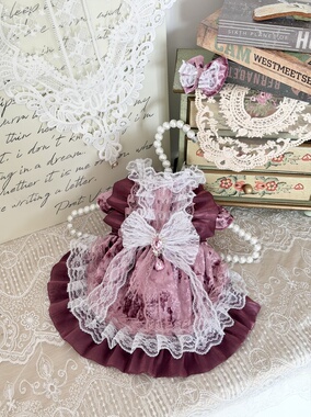 AW丝绒系列狗狗气质水晶紫色光泽质感礼服猫咪蓝猫清冷感蕾丝宠物