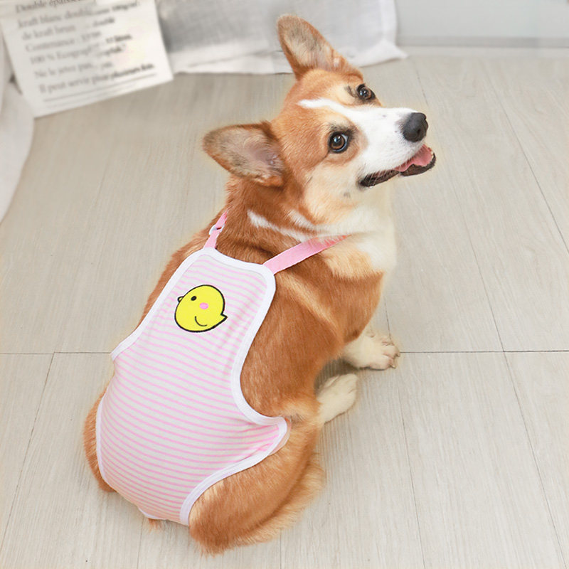 狗狗生理裤女狗安全裤卫生裤月经裤姨妈裤母狗防骚扰可大便柯基