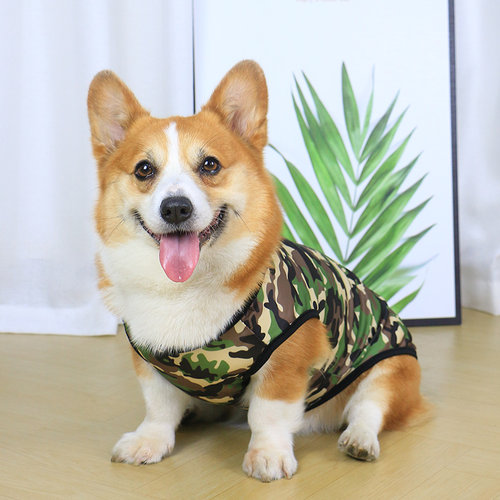 宠物狗狗衣服背心薄款夏季夏天柯基泰迪防掉毛四季春秋幼犬小型犬
