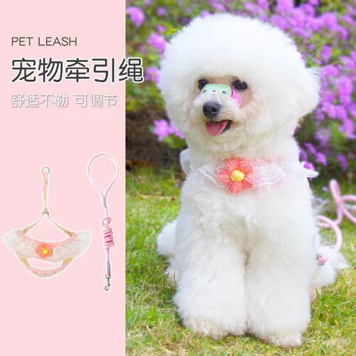狗狗牵引绳背心式小型犬网红可爱高颜值可调节小体比熊专用狗链子