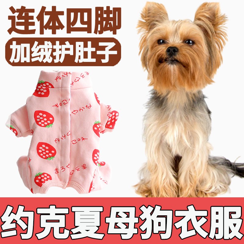 约克夏小狗秋冬天装衣服2021新款母狗全包护肚子加绒四脚加厚棉衣