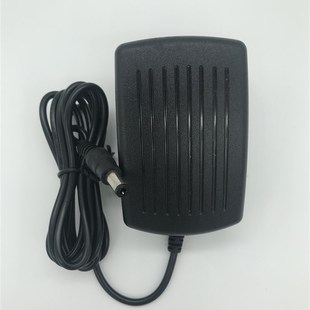 电源适配器 雅马哈电钢琴P 钢琴 115WH电子数码 电源线变压器 125B