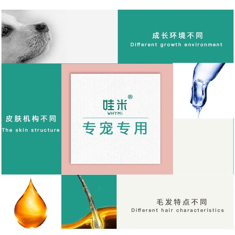 柯基沐浴露洗澡用品狗狗专用清香留香幼犬宠物柯基犬香波浴液消臭,宠物/宠物食品及用品,狗香波浴液,淘宝优惠券,粉丝福利购,淘宝优惠卷