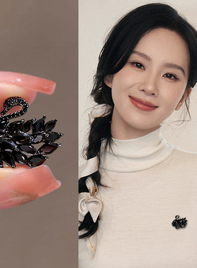 黑色天鹅胸针轻奢高级感高档女奢华气质2025新款爆款小巧精致配饰