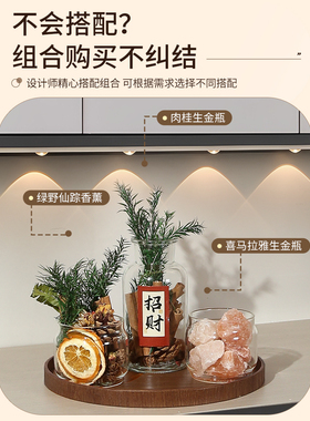 肉桂净宅粗盐入宅仪式装饰摆件乔迁新居家入户玄关招财搬家礼物