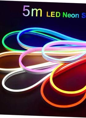 Neon LED Light Strip Flexible Silicone Set 5M 600 Lights Emb