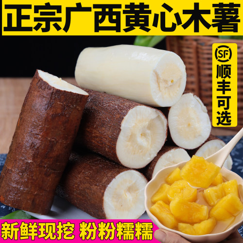 正宗广西黄心木薯新鲜现挖