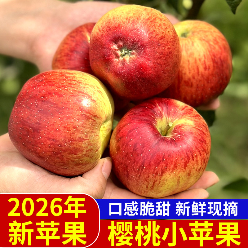 拒绝冷库果2026年新鲜苹果上市