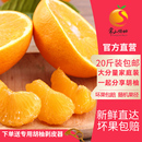 包邮 2025现货正宗常山胡柚新鲜水果当季 水果柚子西柚净重19斤