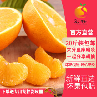 包邮 2025现货正宗常山胡柚新鲜水果当季 水果柚子西柚净重19斤