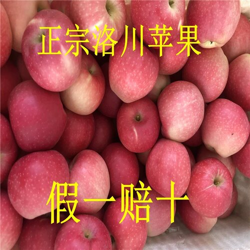 正宗洛川早熟嘎啦苹果新鲜26新果