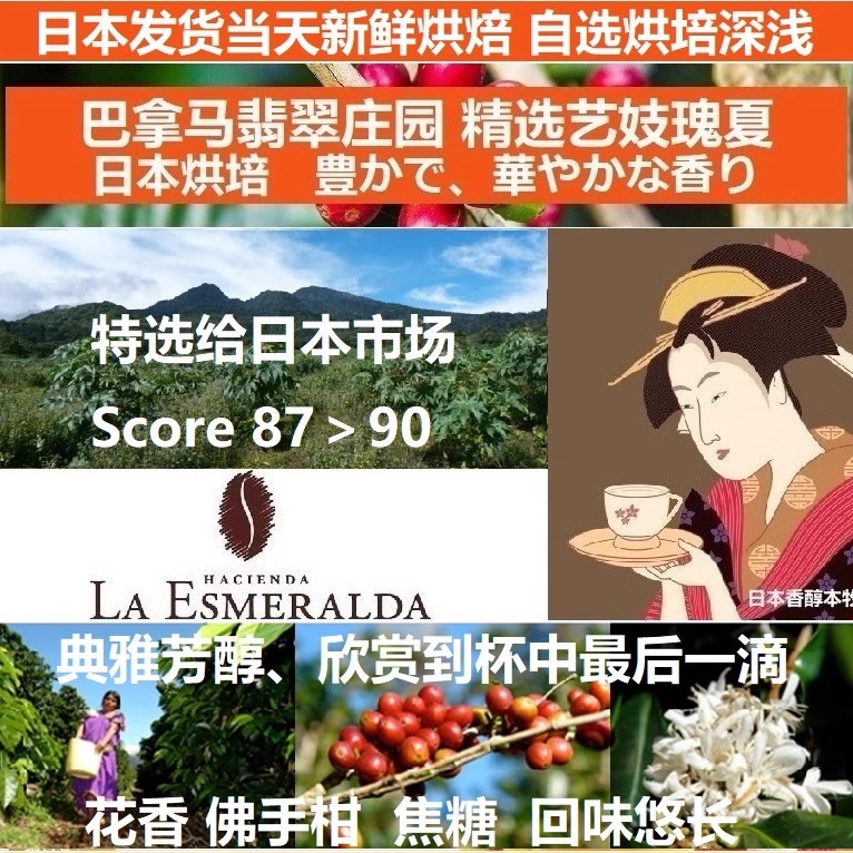 巴拿马翡翠庄园水洗瑰夏咖啡豆