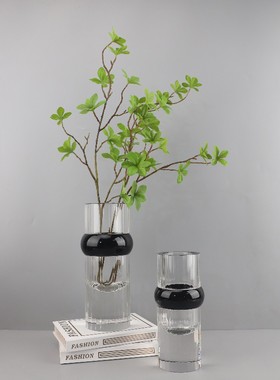 北欧简约几何圆筒黑圈透明水晶花瓶摆件客厅餐厅卧室软装家居饰品