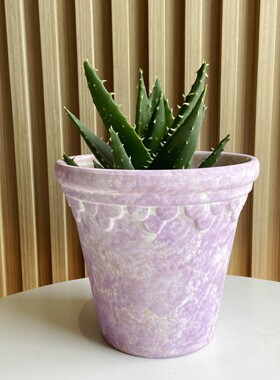 出口意大利INS风脏脏做旧陶盆庭院花园蝴蝶兰多肉粗陶盆红陶花盆