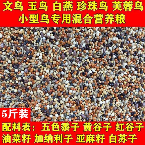 新黄谷子鸟粮加纳利子芙蓉白燕玉