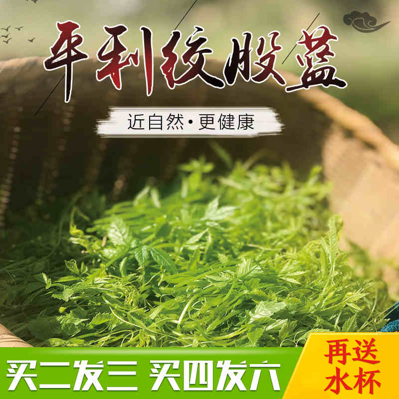 女娲飞燕胶股蓝包邮500g新茶野生2018平利绞股蓝特级七叶苦味龙须