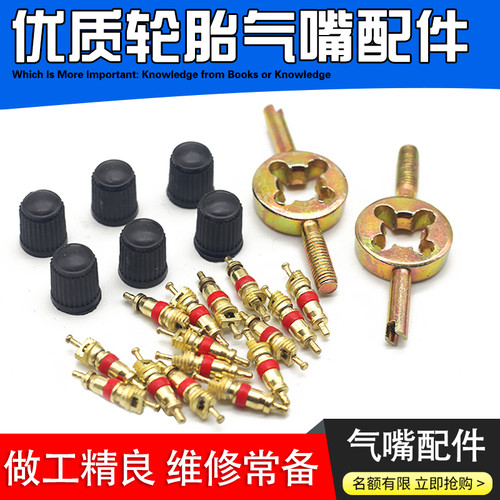 汽车轮胎气门芯通用摩托车电动车气门嘴帽自行车气门芯针气门扳手