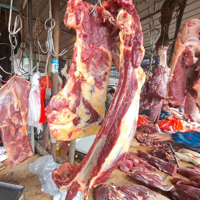 5斤原切牛排骨新鲜带肉 黄牛牛肋排牛仔骨牛小排商用