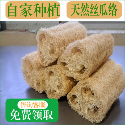 【农家种植】精选中段原色丝瓜络