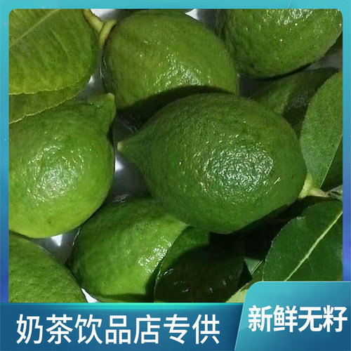 柠檬新鲜5斤包邮无籽小果现摘