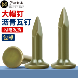 沪心沥青瓦钉大帽钉钢钉水泥钉房顶玻纤瓦油毡瓦专用钉20 30mm