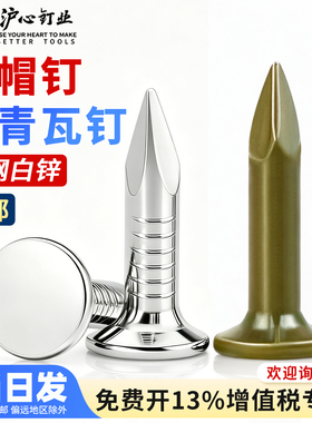 沪心白锌大帽钉钢钉水泥钉房顶玻纤瓦油毡瓦钉20 25 30mm沥青瓦钉