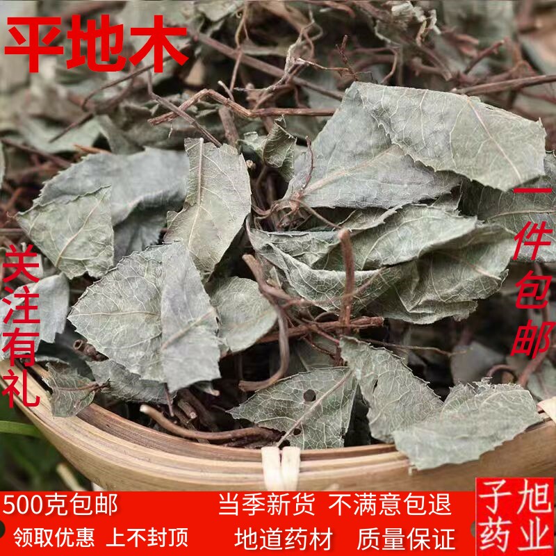 中药材矮地茶/平地木/不出林/叶底珠/叶下红紫金牛500克1斤包邮