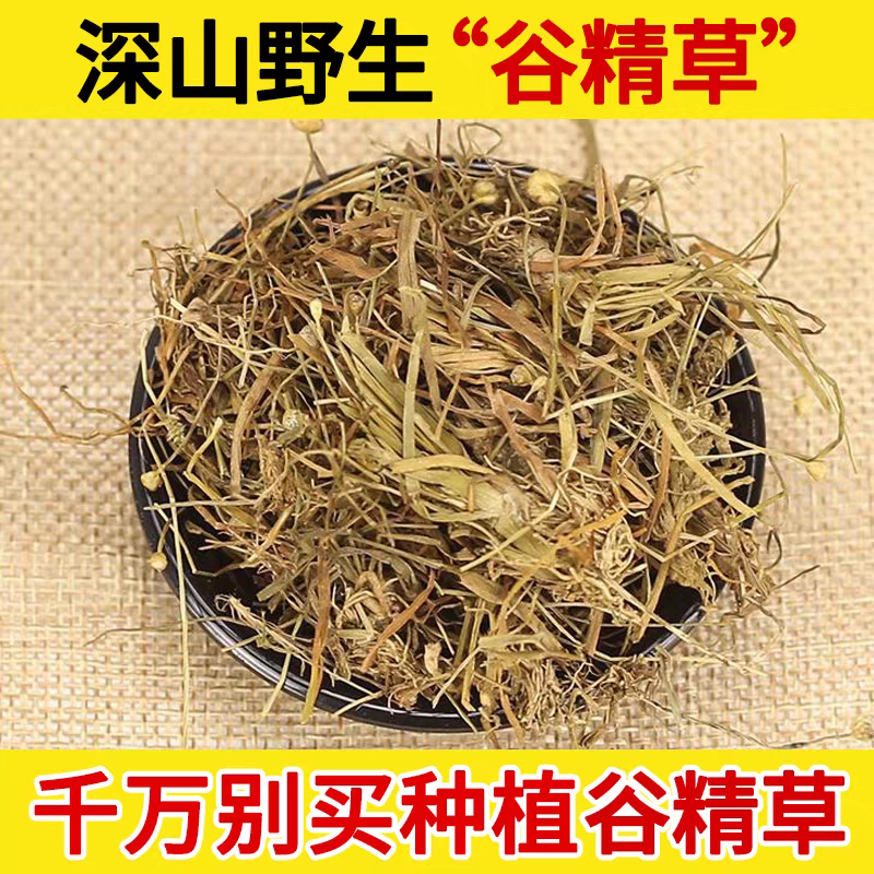 谷精草 中药材 谷精草 珍珠草 谷精珠 谷精子 中药材500克  包邮