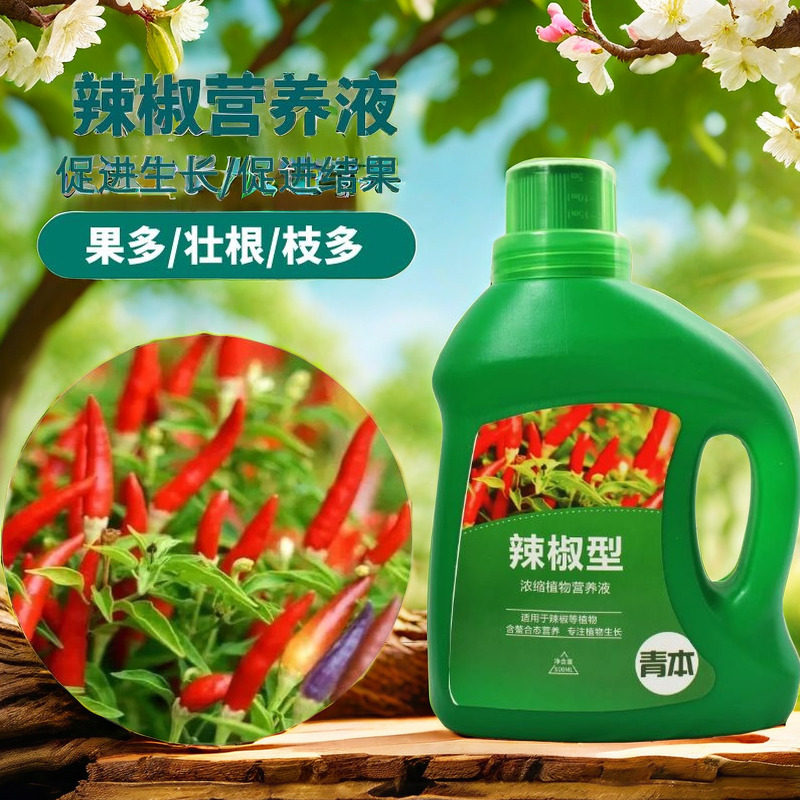 辣椒肥料专用肥营养液菜椒辣椒青椒朝天椒线椒小米辣盆栽有机肥料