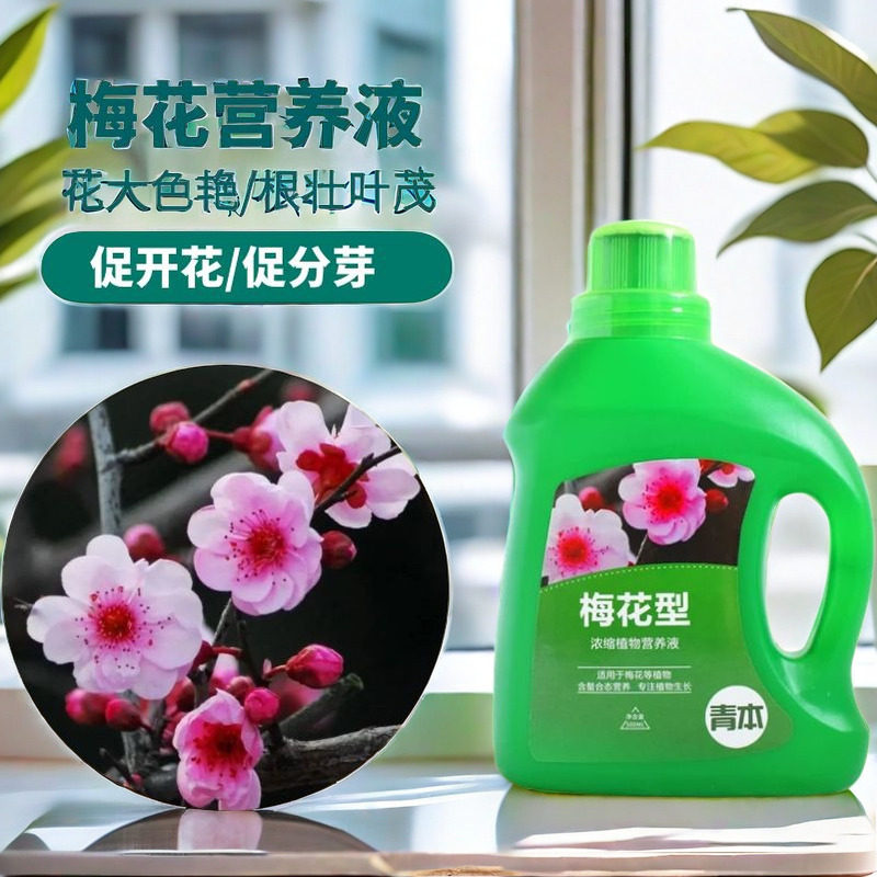 梅花专用肥室内盆栽植物营养液通用型促开花防花少延花期园艺肥料