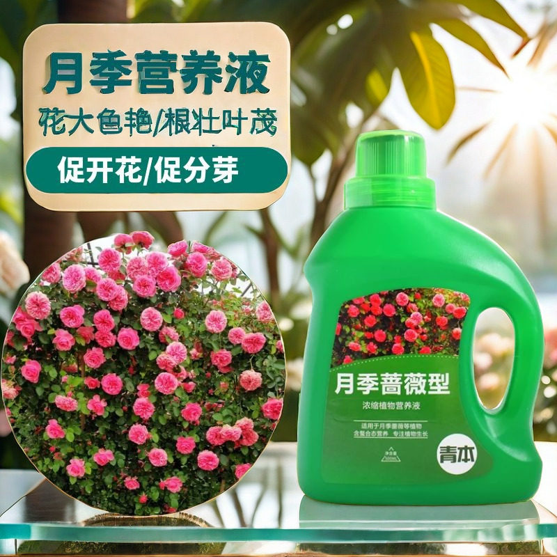 月季花肥料专用肥营养液浓缩液体专用盆栽玫瑰蔷薇花卉植物通用型