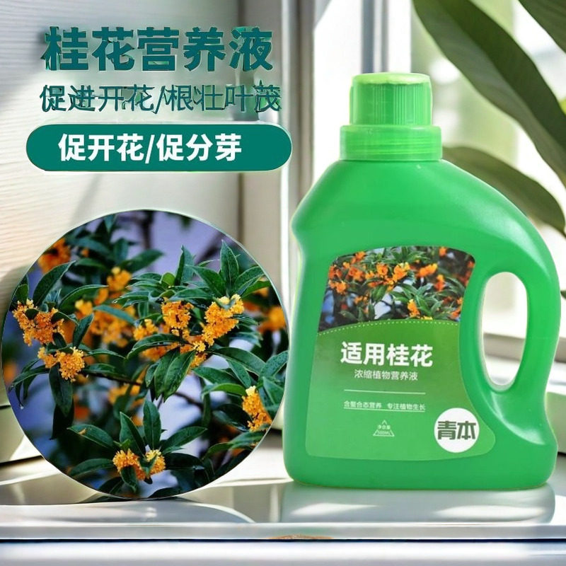 桂花树专用肥料养护营养液家庭园艺四季通用复合肥绿植促花养花花