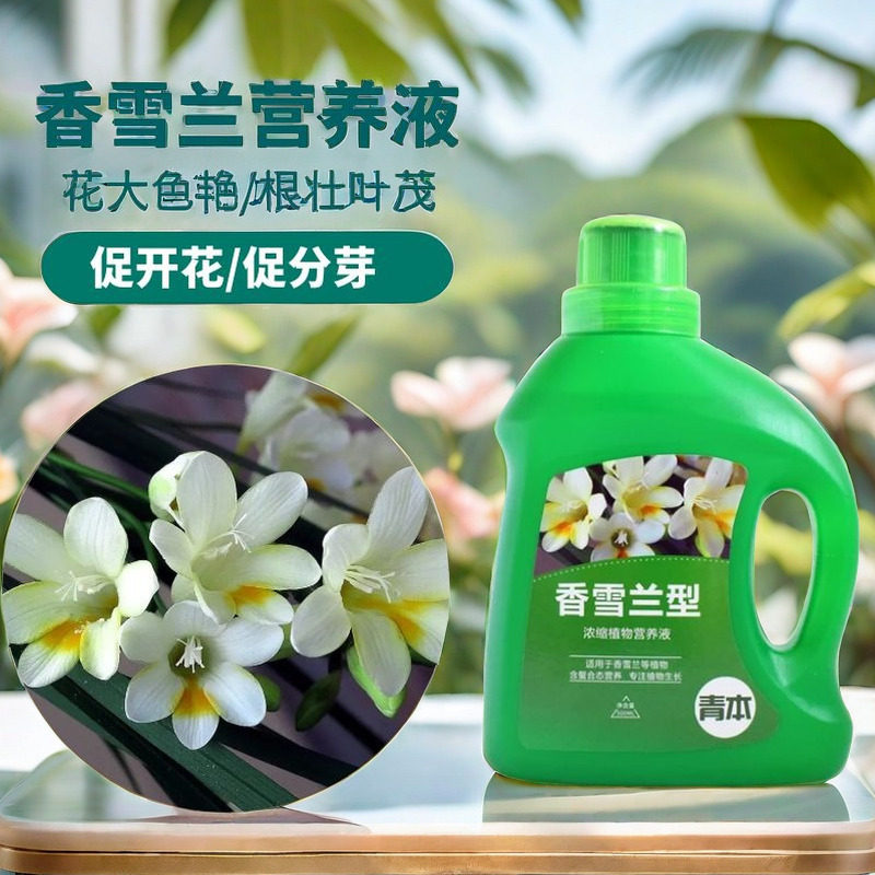 香雪兰营养液专用肥料香雪兰营养液花肥盆栽绿植水培植花卉通用型