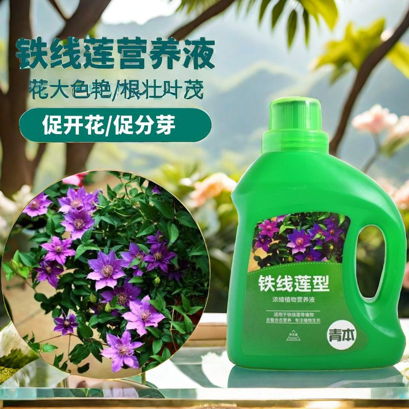 铁线莲专用肥营养液家庭园艺室内户外花卉植物盆栽植物液体花肥