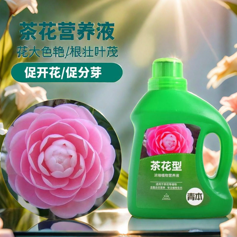 茶花肥料专用肥营养液山茶花茉莉花杜鹃花栀子花盆栽家用喜酸通用