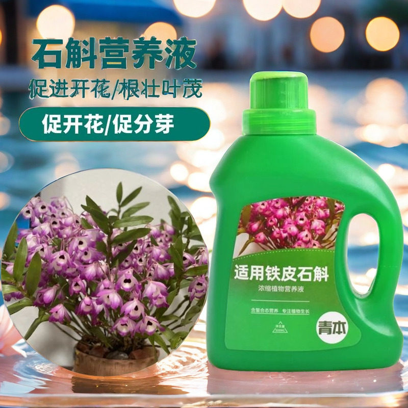 铁皮石斛植物专用营养液肥料专用肥家庭园艺花卉绿植盆栽通用肥料