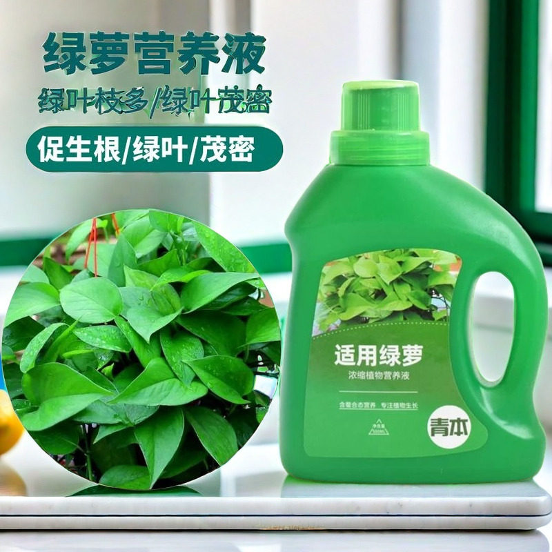 绿萝专用营养液绿萝肥料专用肥绿箩肥料家用花卉盆栽通用型液体肥