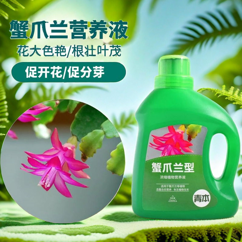 蟹爪兰肥料专用肥营养液花卉植物专用盆栽家用养花仙人柱掌复合肥