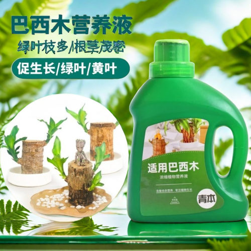 巴西木专用营养液养花肥料盆栽通用幸运木水培植物家用氮磷钾肥料