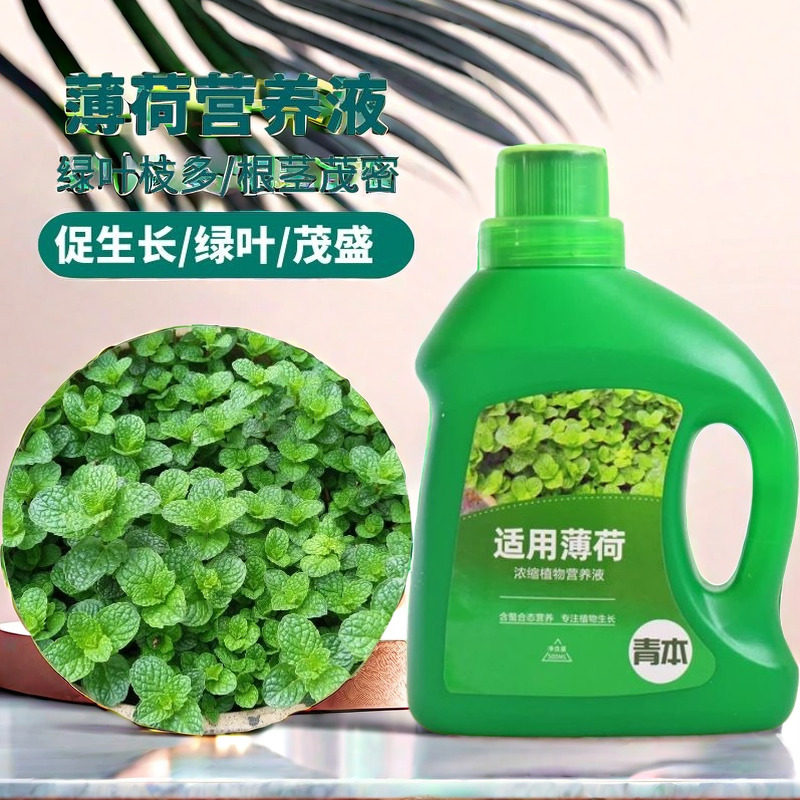 薄荷专用肥营养液通用室内薄荷草土水培家用养花肥料盆栽有机肥料