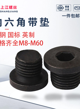 国标内六角带垫油塞4.8级JB1001内六角带垫喉塞螺塞堵头闷头M8-60