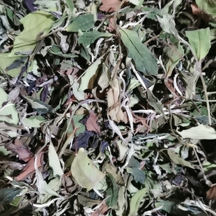 政和白茶产地直播刚需的特惠寒露寿眉两斤