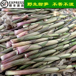 新鲜带壳甜竹笋生嫩泥小春笋子现扯野菜5/10斤时令蔬菜湖南郴州产