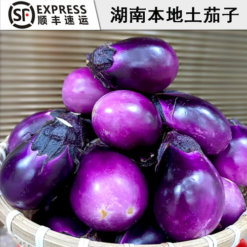 湖南农家自种老品种紫皮圆茄子5斤生软糯小新鲜应季蔬菜现摘现发