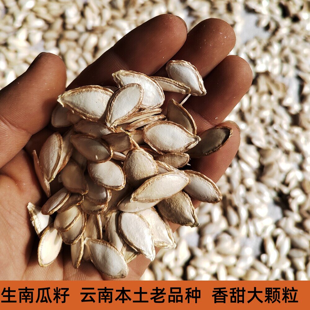 云南本土毛边生南瓜籽大颗粒饱满土南瓜籽农家精选原味散装老品种