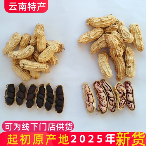 云南特产小粒黑花生七彩花生