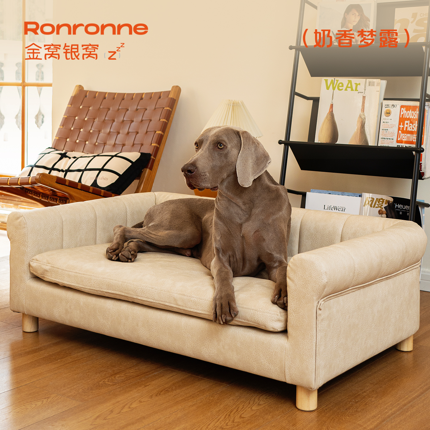 金窝银窝宠物沙发轻奢皮面可拆洗