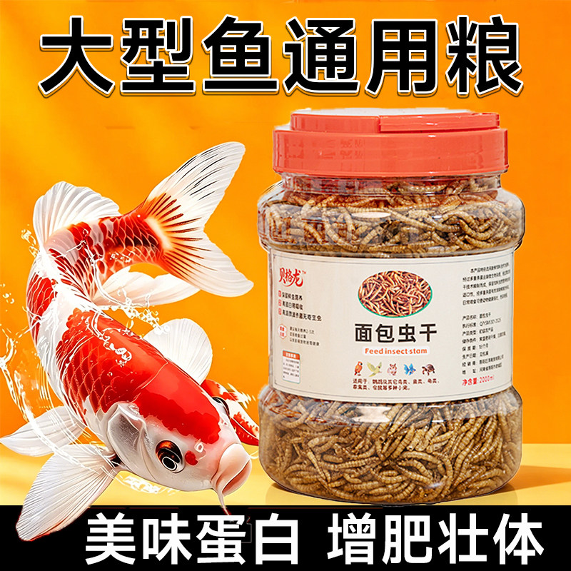 大型鱼通用粮鱼类高蛋白面包虫干